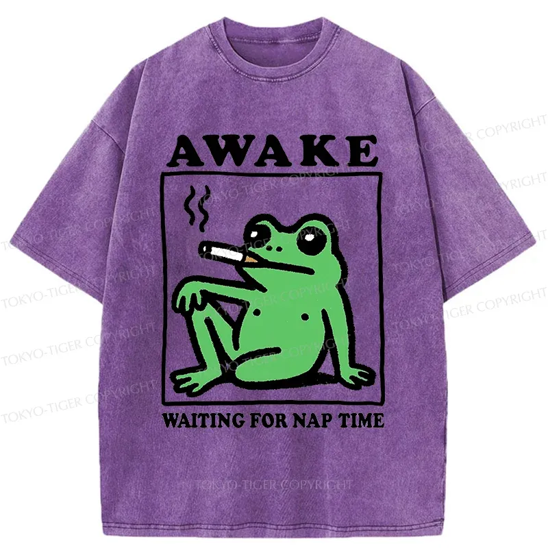 Tokyo-Tiger Frog Waiting For A Nap Washed T-Shirt