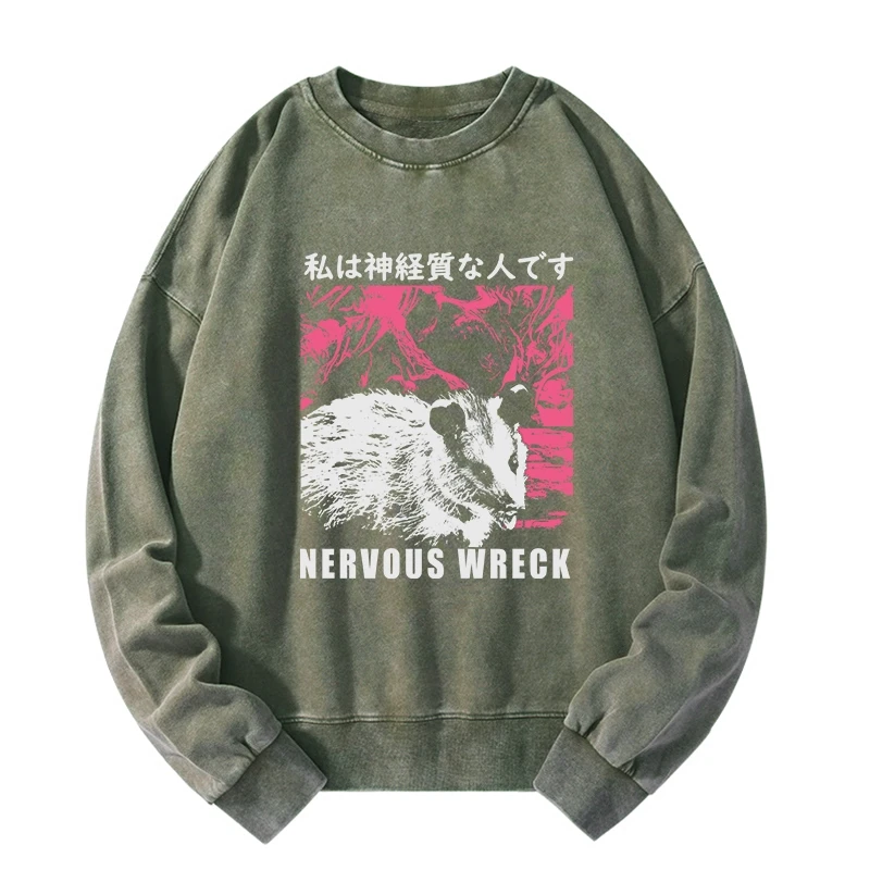 Tokyo-Tiger Nervous Wreck Washed Sweatshirt