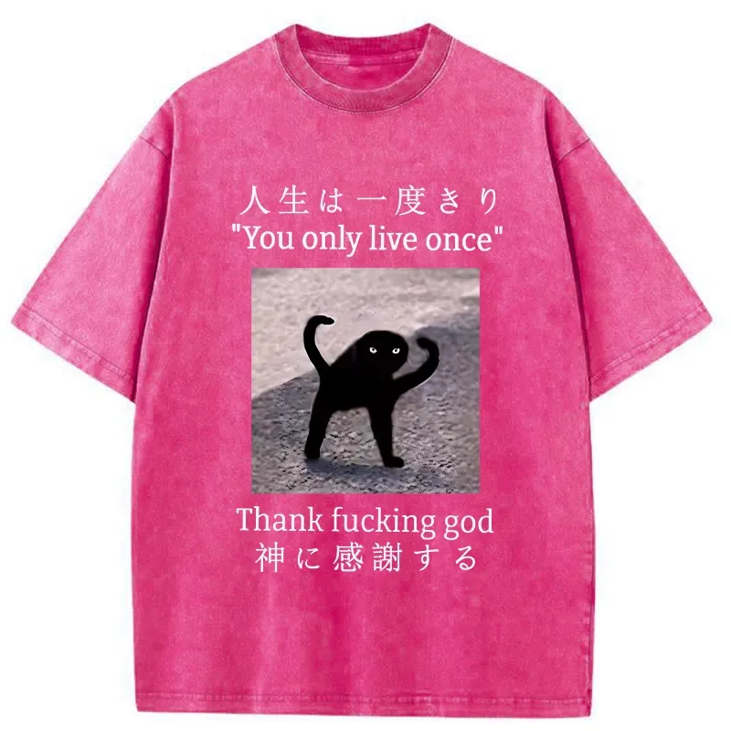 Tokyo-Tiger Funny Mysterious Cat Washed T-Shirt