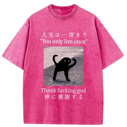 Tokyo-Tiger Funny Mysterious Cat Washed T-Shirt