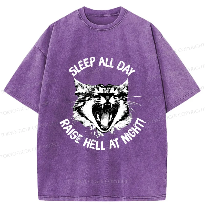 Tokyo-Tiger Cat Wreaking Havoc At Night Washed T-Shirt