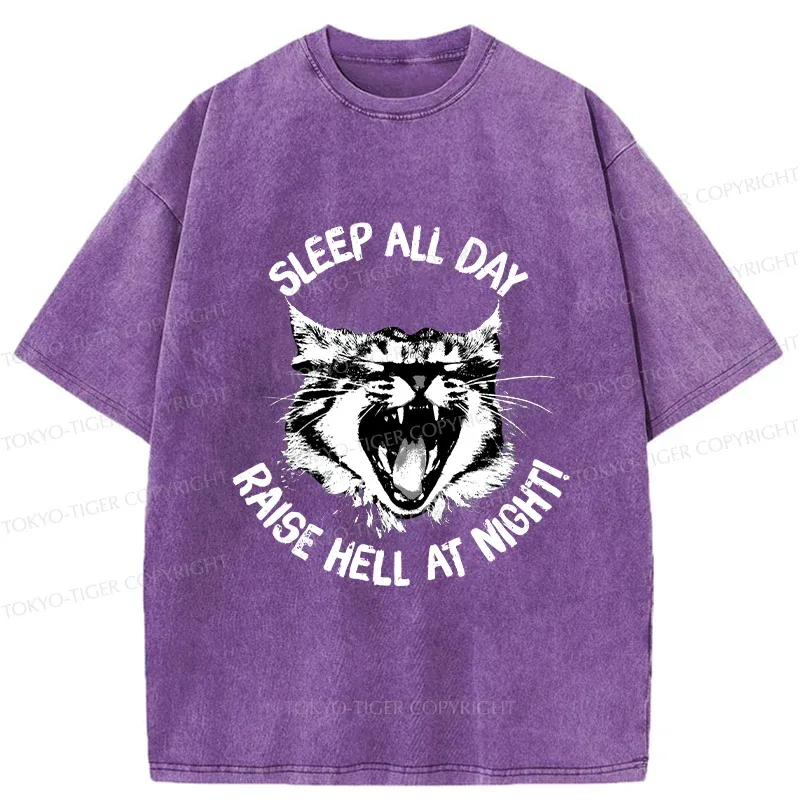 Tokyo-Tiger Cat Wreaking Havoc At Night Washed T-Shirt