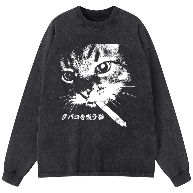 Tokyo-Tiger Delicious Chinese Food Washed Long Sleeve T-Shirt Sale