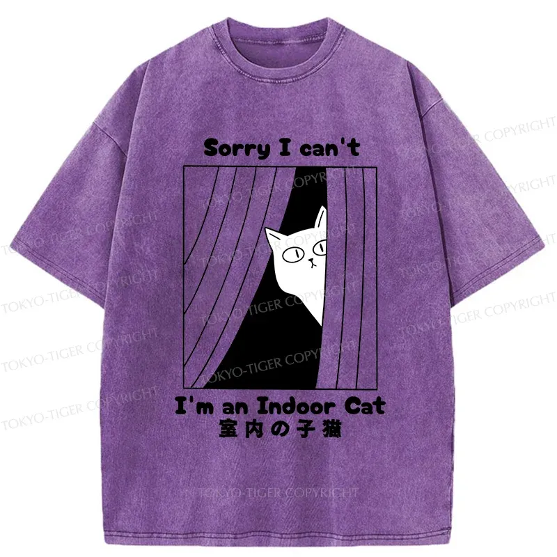 Tokyo-Tiger Indoor Kitten Funny Washed T-Shirt Sale