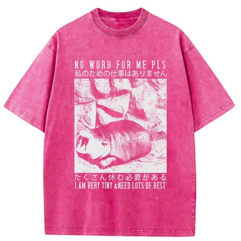 Tokyo-Tiger Funny Moo Deng Needs Lots Of Rest Washed T-Shirt