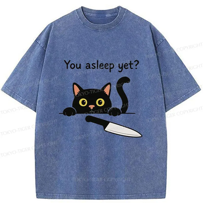 Tokyo-Tiger Cat With Murderous Intent Washed T-Shirt