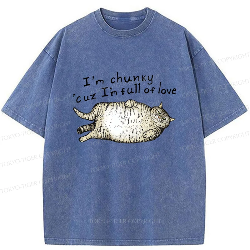 Tokyo-Tiger Fat Cat Funny Washed T-Shirt