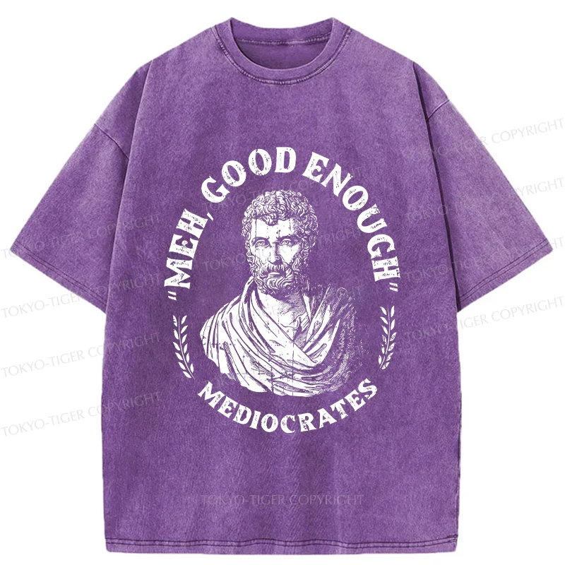 Tokyo-Tiger Socrates Funny Saying Washed T-Shirt