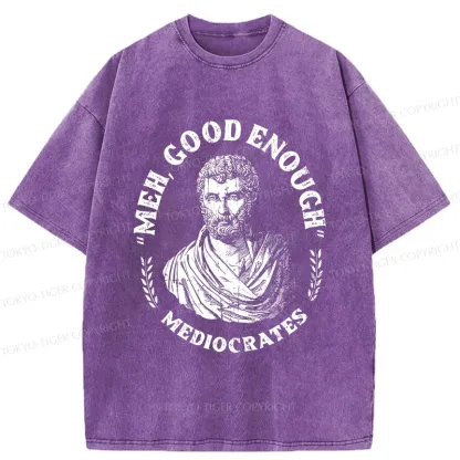 Tokyo-Tiger Socrates Funny Saying Washed T-Shirt