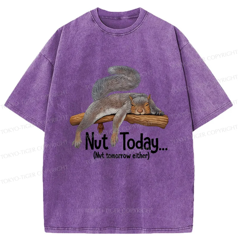 Tokyo-Tiger Lazy Squirrel Washed T-Shirt