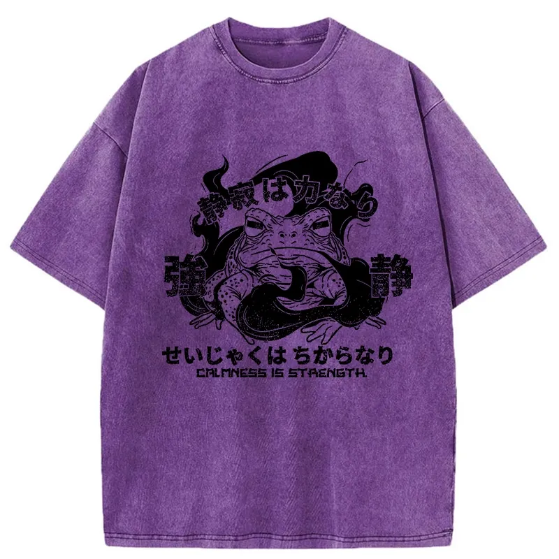Tokyo-Tiger Calmness Is Strength Washed T-Shirt