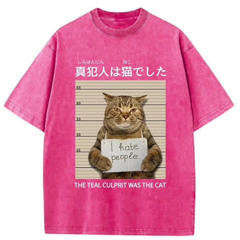 Tokyo-Tiger The Culprit Is The Cat Washed T-Shirt