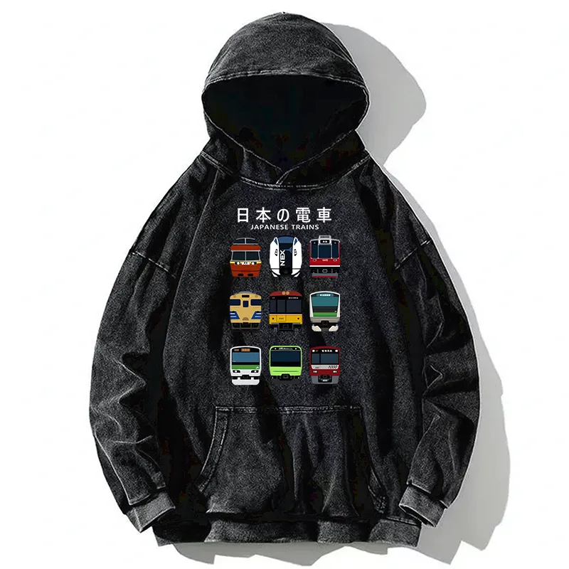 Tokyo-Tiger Japanese Train Collection Washed Hoodie