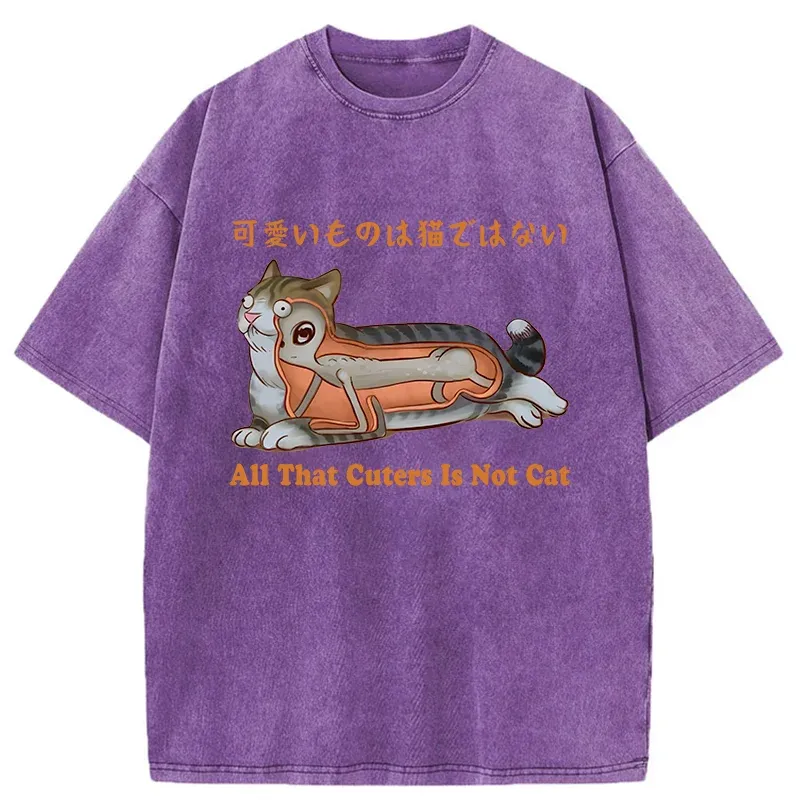 Tokyo-Tiger All That Cuters Is Not Cat Washed T-Shirt