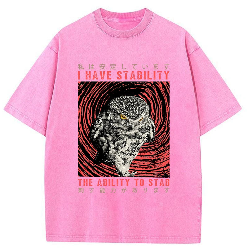 Tokyo-Tiger I Have Stability Owl Washed T-Shirt