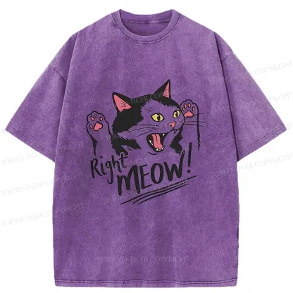 Tokyo-Tiger Right Meow Funny Washed T-Shirt