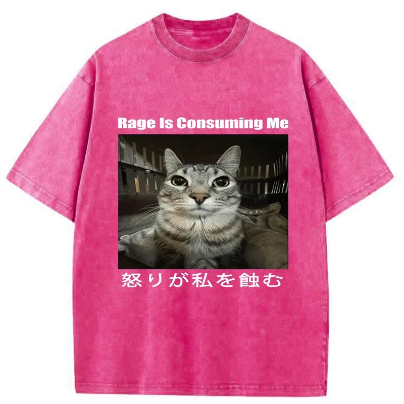Tokyo-Tiger Rage Is Consuming Me Japan Washed T-Shirt