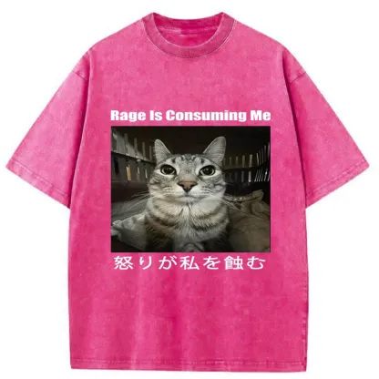 Tokyo-Tiger Rage Is Consuming Me Japan Washed T-Shirt