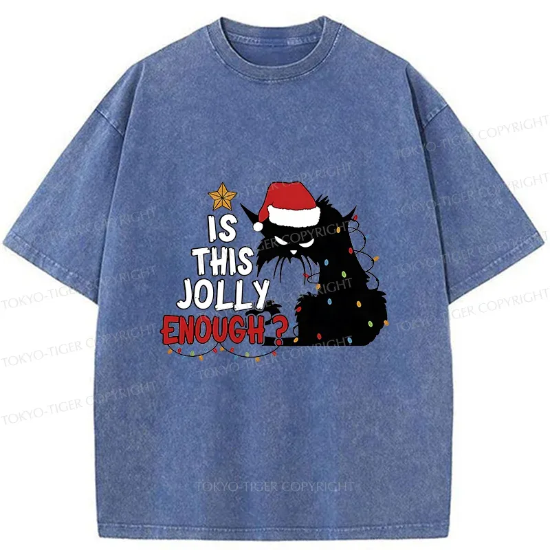 Tokyo-Tiger Grumpy Cat Christmas Washed T-Shirt