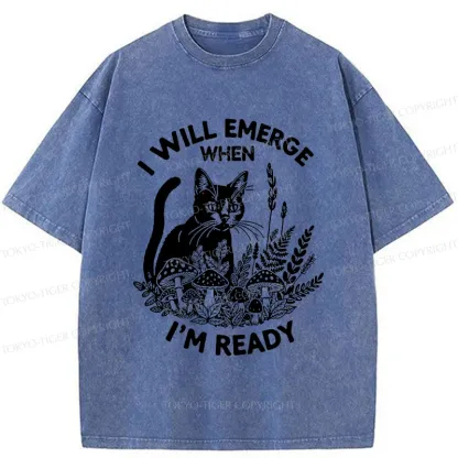 Tokyo-Tiger Cat Ready To Appear Washed T-Shirt