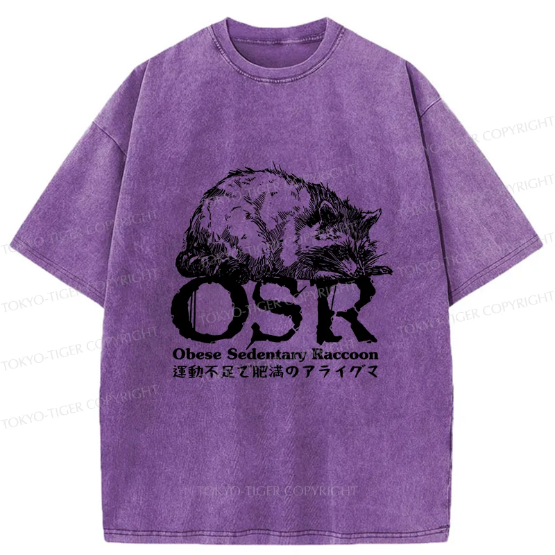 Tokyo-Tiger Fat Raccoon Washed T-Shirt