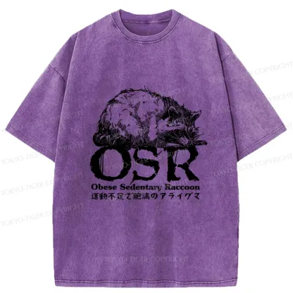 Tokyo-Tiger Fat Raccoon Washed T-Shirt