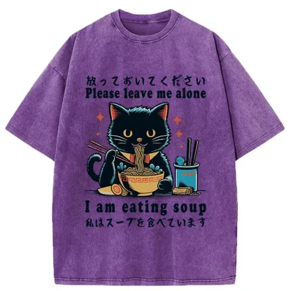 Tokyo-Tiger Cat Enchanted By Ramen Washed T-Shirt