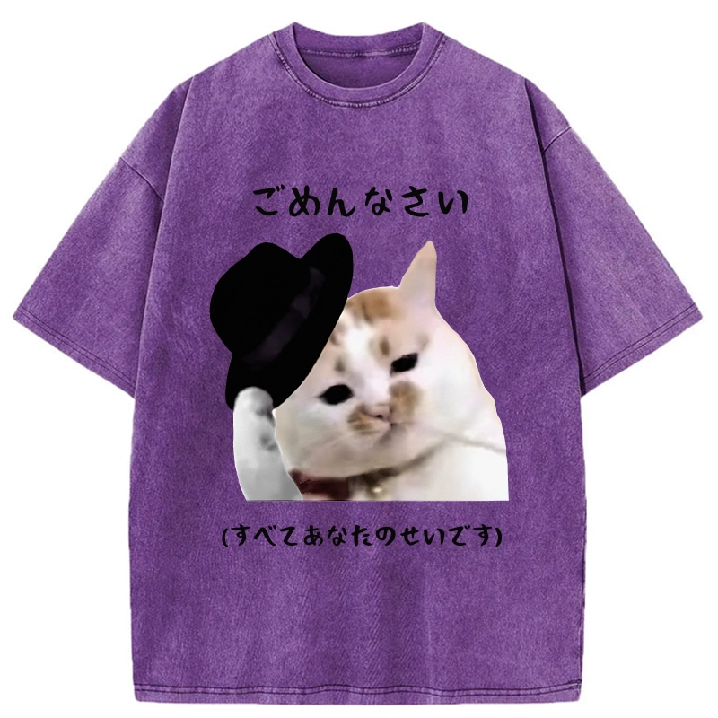 Tokyo-Tiger Sorry It's All Your Fault Washed T-Shirt