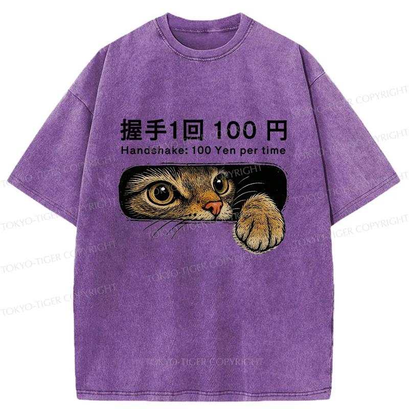 Tokyo-Tiger Shake Hands With Cat For A Fee Washed T-Shirt