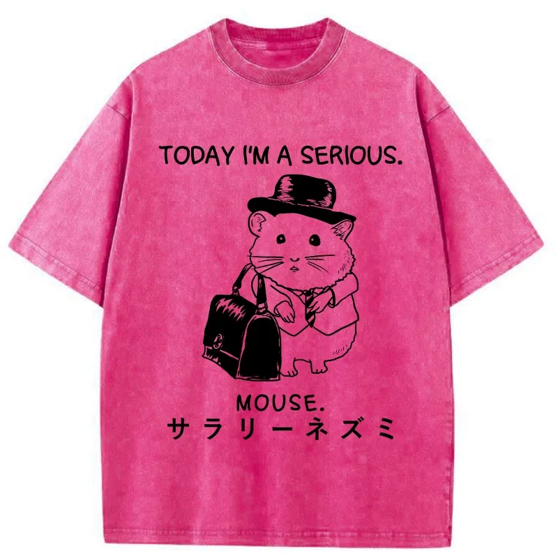 Tokyo-Tiger Today I'm A Serious Washed T-Shirt