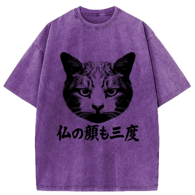 Tokyo-Tiger Cat Hits After Three Messes Washed T-Shirt