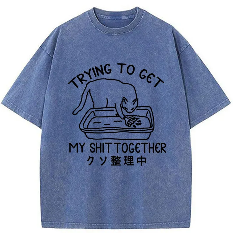 Tokyo-Tiger Cat Cleaning The Toilet Washed T-Shirt