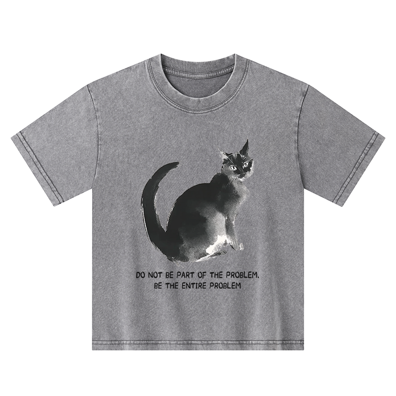 Tokyo-Tiger Funny Cat Be The Entire Problem Kids Washed T-Shirt