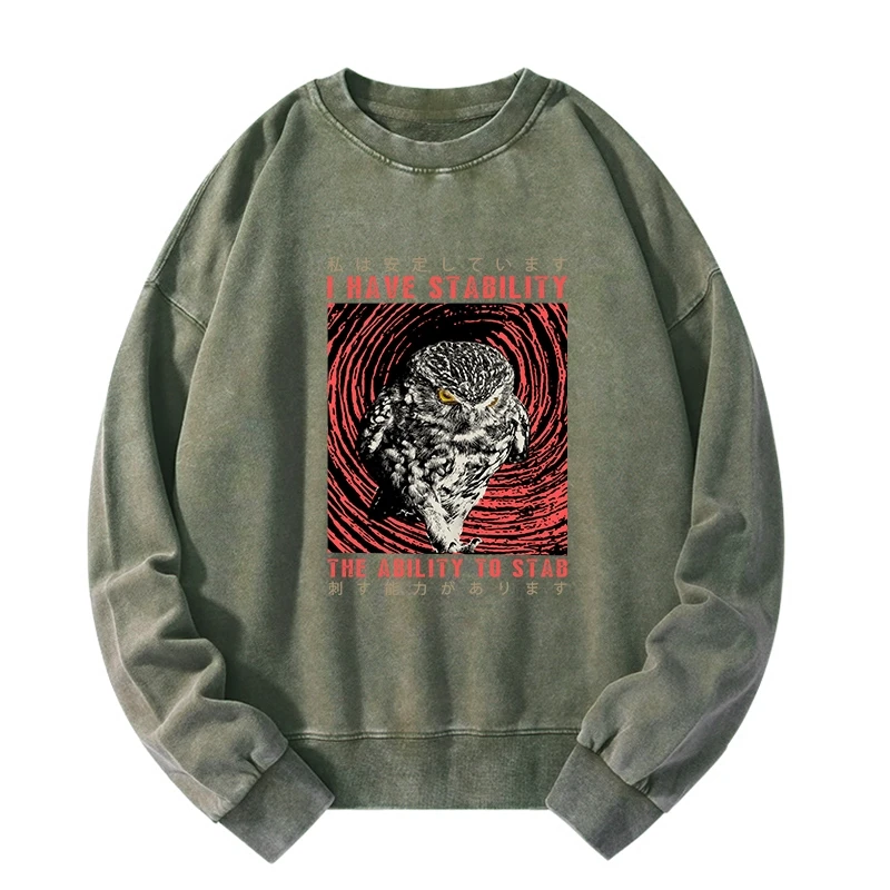 Tokyo-Tiger I Have Stability Owl Washed Sweatshirt