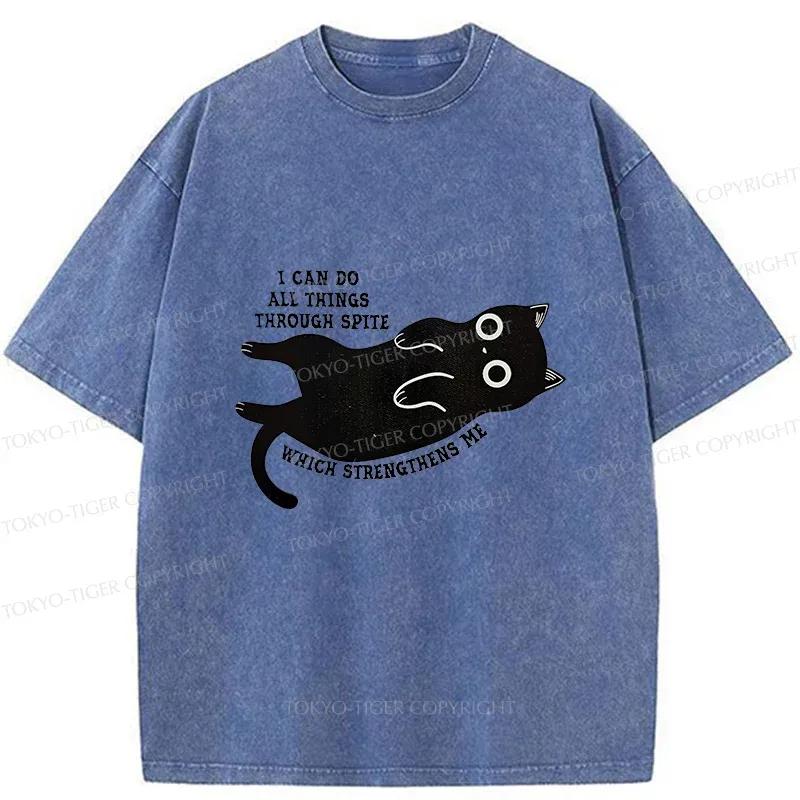 Tokyo-Tiger Cat Can Do All Things Spite Washed T-Shirt Sale