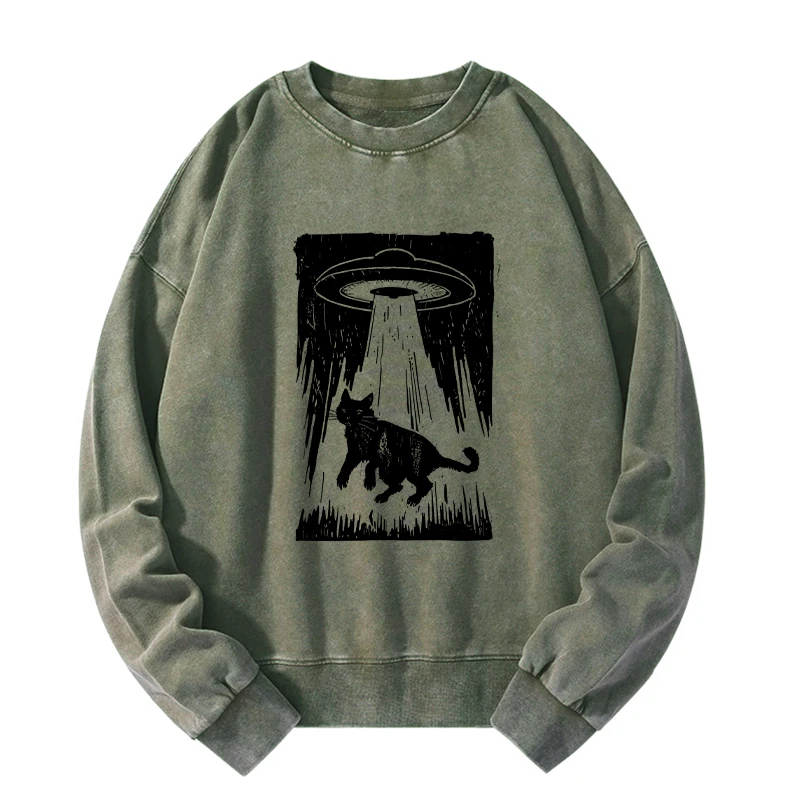 Tokyo-Tiger Cat Kidnapped By Aliens Washed Sweatshirt