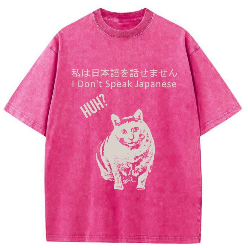 Tokyo-Tiger Cat Doesn't Speak Japanese Washed T-Shirt