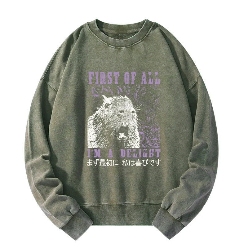 Tokyo-Tiger First Of All I'm A Delight Washed Sweatshirt