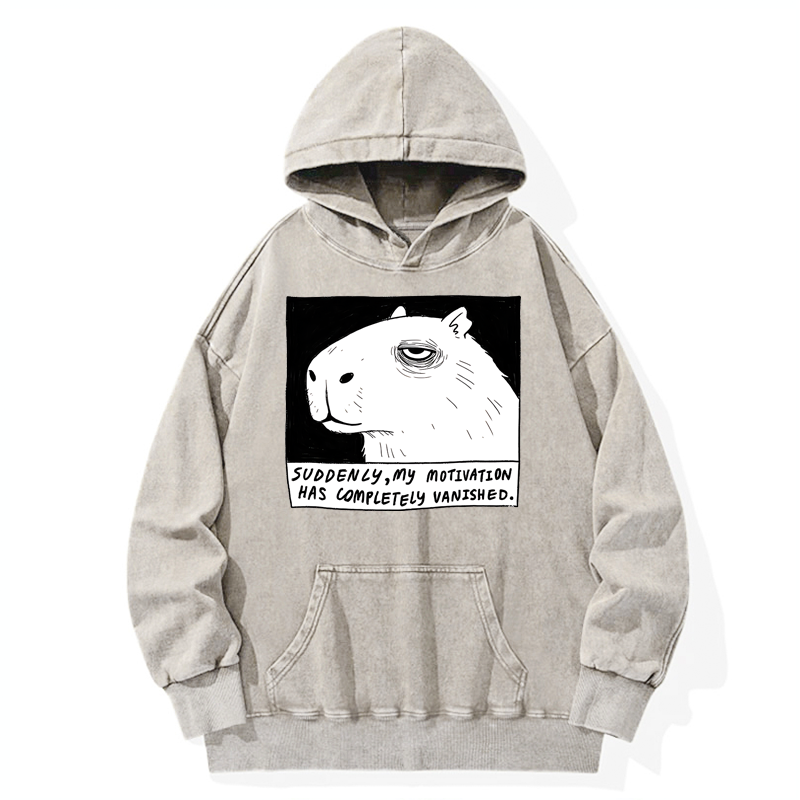 Tokyo-Tiger Power Has Completely Disappeared Washed Hoodie