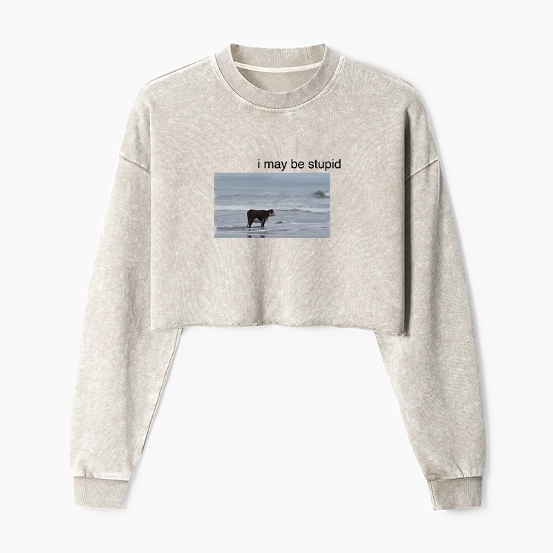 Tokyo-Tiger Foolish Cow Washed Crop Sweatshirt
