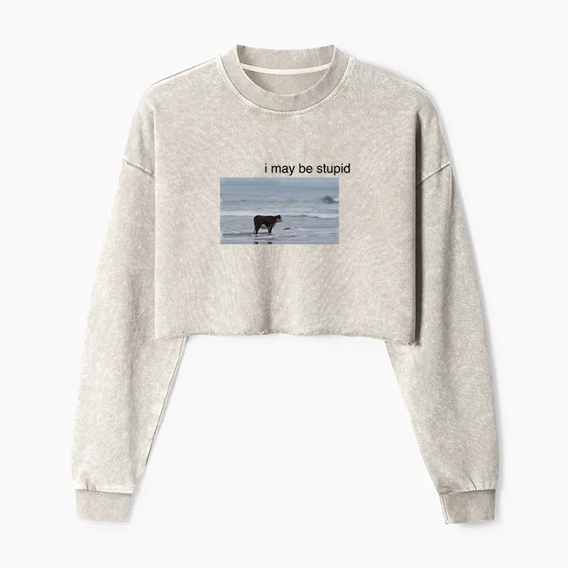 Tokyo-Tiger Foolish Cow Washed Crop Sweatshirt