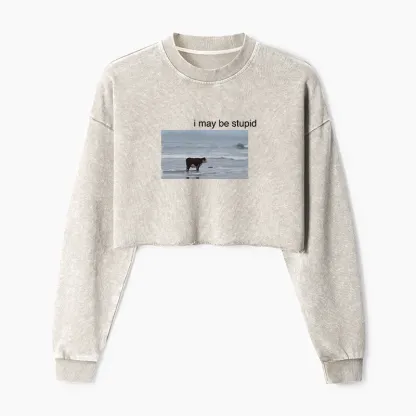 Tokyo-Tiger Foolish Cow Washed Crop Sweatshirt