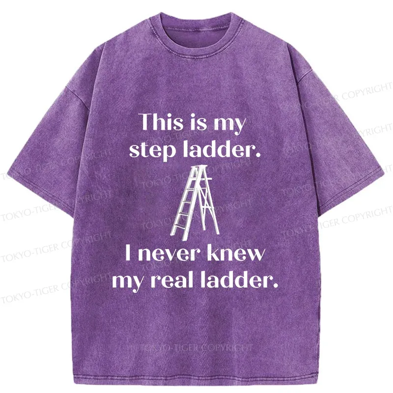 Tokyo-Tiger A Real Ladder Funny Washed T-Shirt