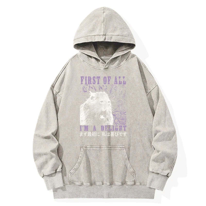 Tokyo-Tiger First Of All I'm A Delight Washed Hoodie