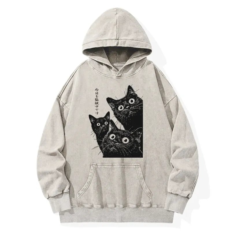 Tokyo-Tiger Three Cats Are Watching You Today Washed Hoodie