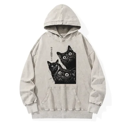 Tokyo-Tiger Three Cats Are Watching You Today Washed Hoodie