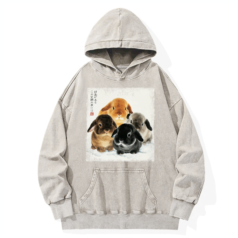 Tokyo-Tiger The Ink Wash Rabbit Is Watching You Washed Hoodie