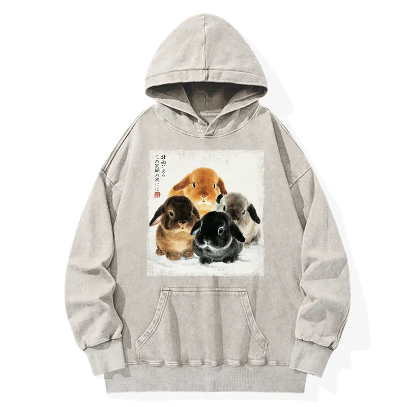 Tokyo-Tiger The Ink Wash Rabbit Is Watching You Washed Hoodie