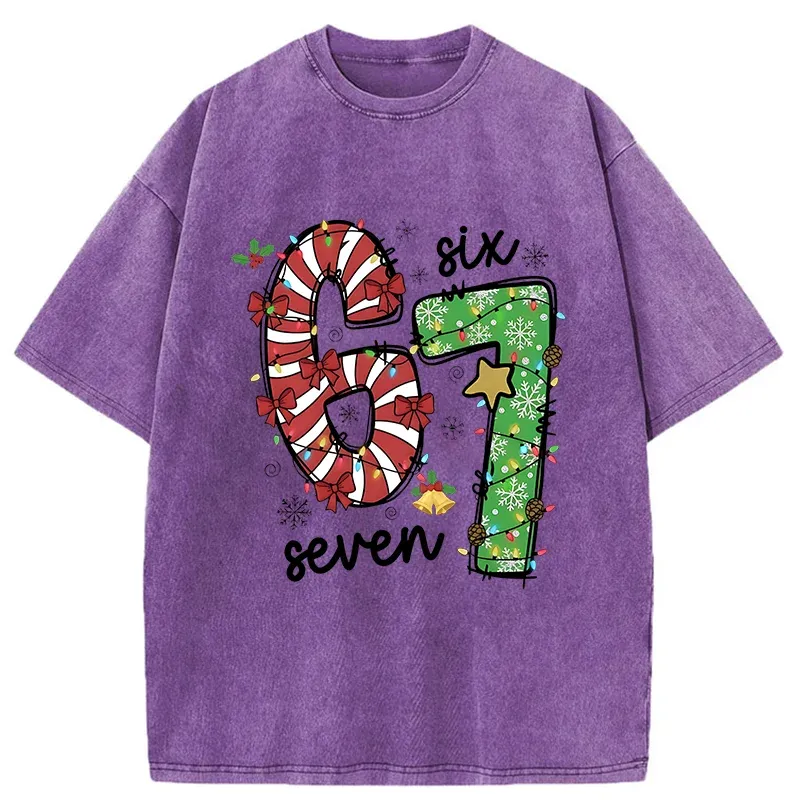 Tokyo-Tiger Six And Seven Funny Washed T-Shirt