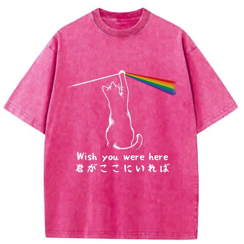 Tokyo-Tiger Wish You Were Here Washed T-Shirt